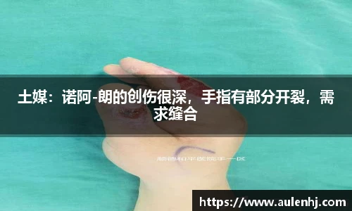 土媒：诺阿-朗的创伤很深，手指有部分开裂，需求缝合